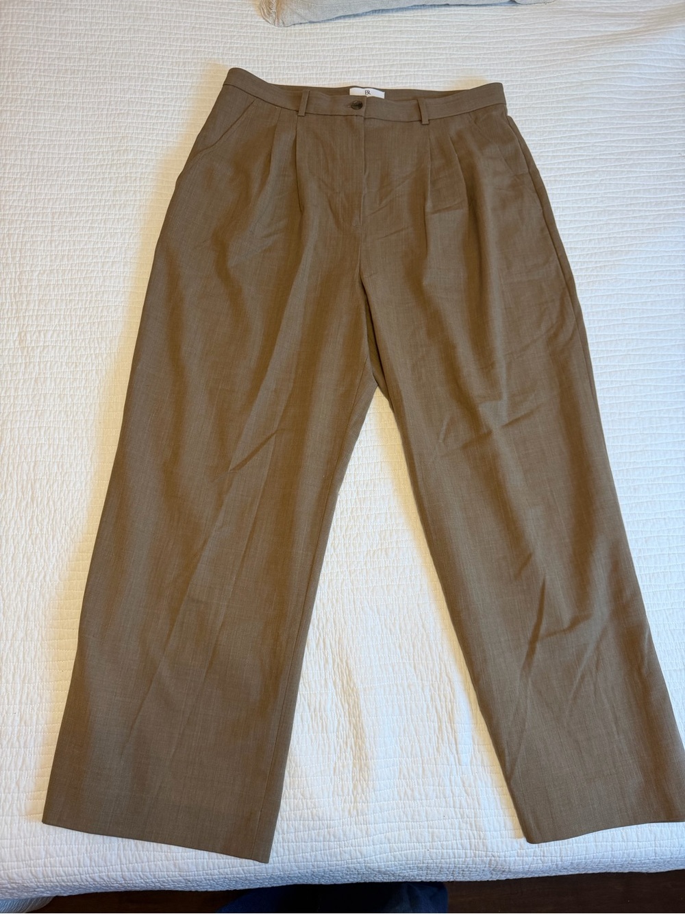 Banana Republic Wide-Leg Pleated Trousers - Brown